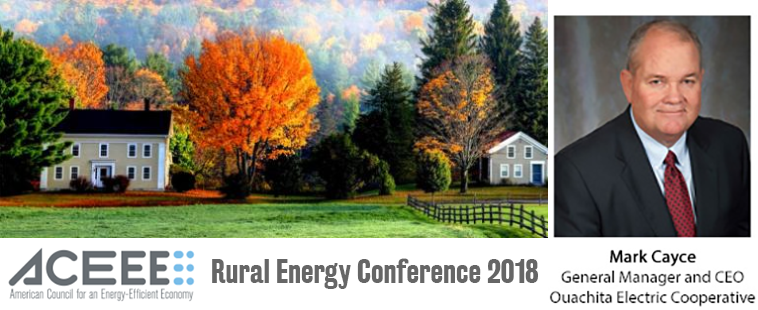 Cayce photo and ACEEE rural conference banner