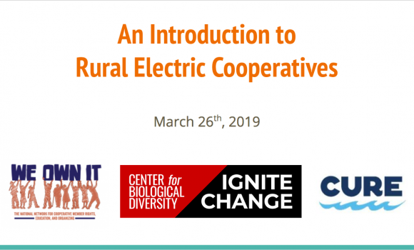 Introduction to rural electric cooperatives webinar slide