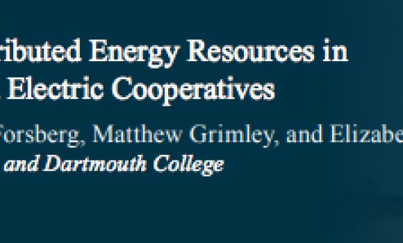 report title and authors